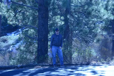 DSC_5038 (Large).JPG